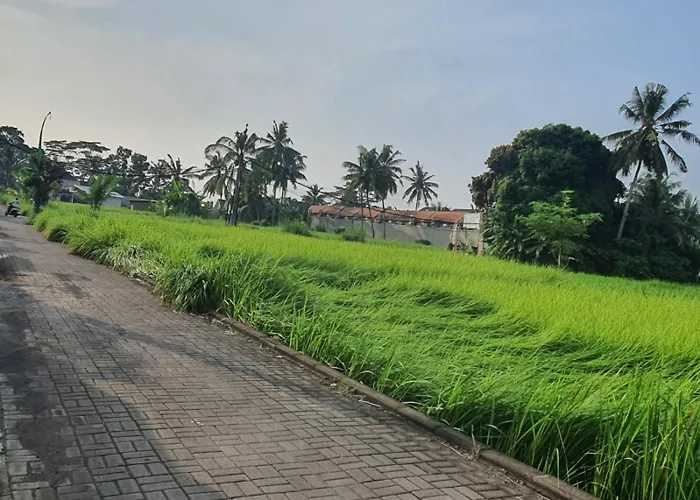 Naturale Ubud, Bali *