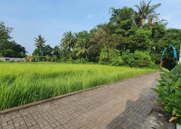 Naturale Ubud, Bali